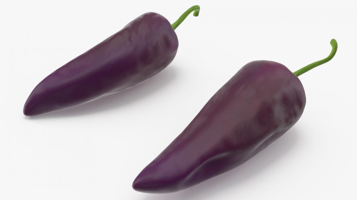 Purple Chili Pepper 3D model