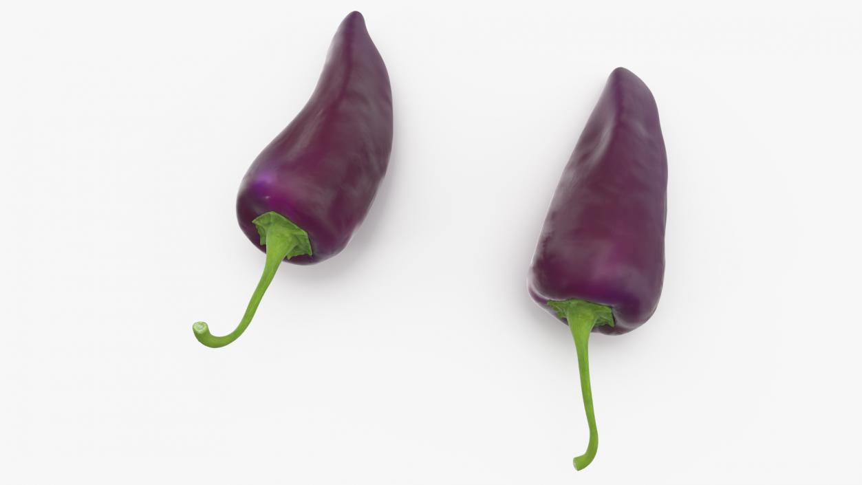 Purple Chili Pepper 3D model