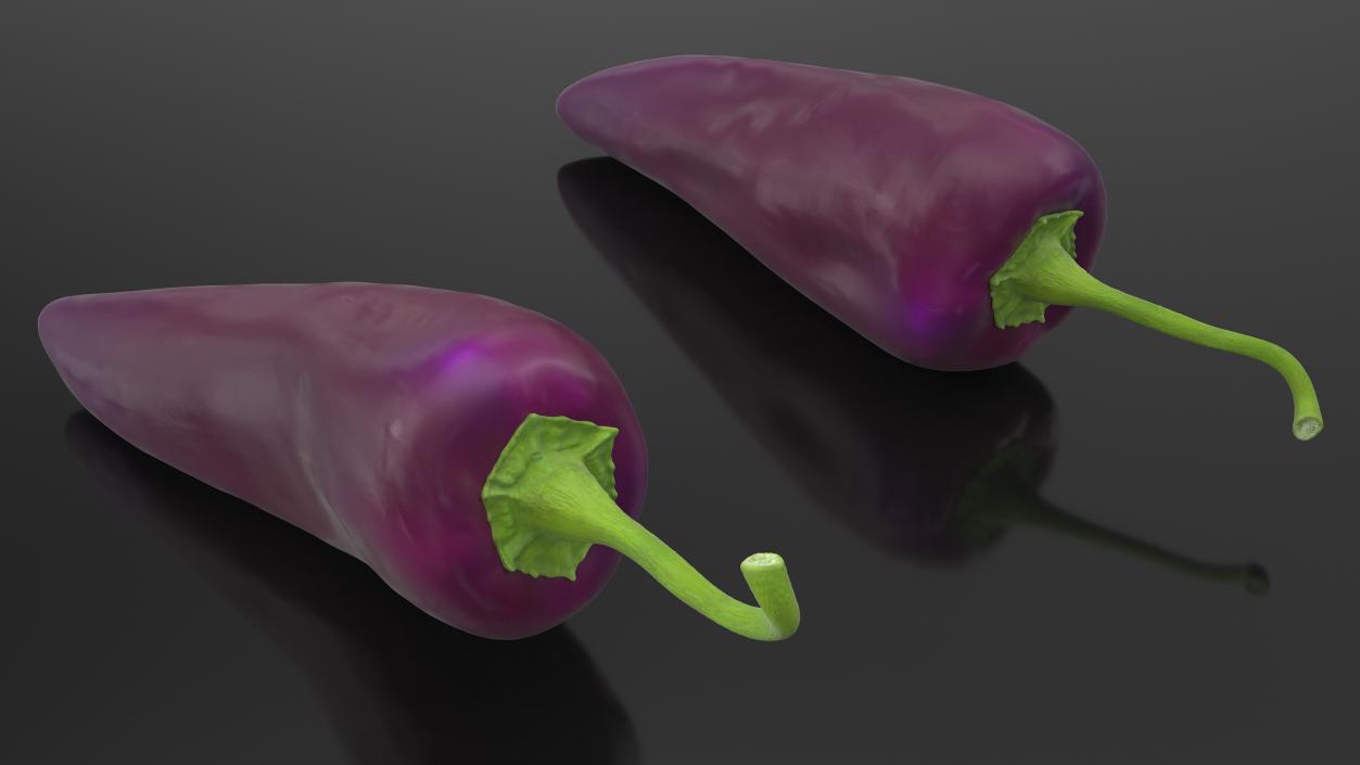 Purple Chili Pepper 3D model