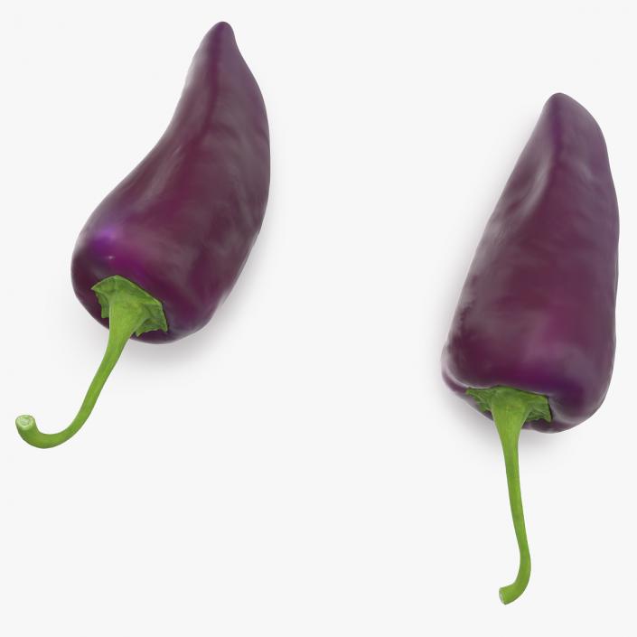 Purple Chili Pepper 3D model