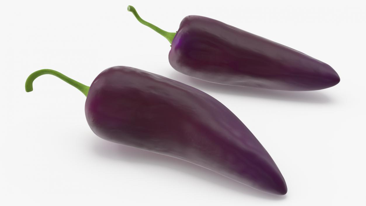 Purple Chili Pepper 3D model