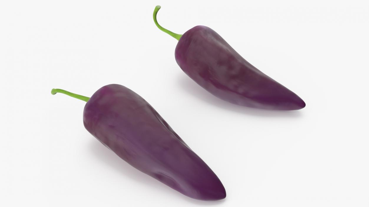 Purple Chili Pepper 3D model