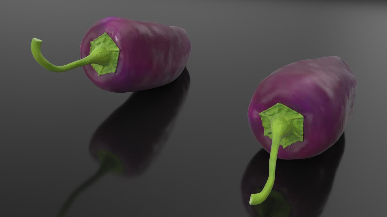 Purple Chili Pepper 3D model