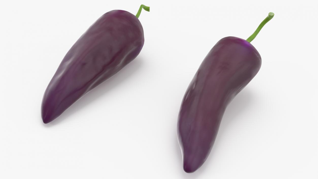 Purple Chili Pepper 3D model