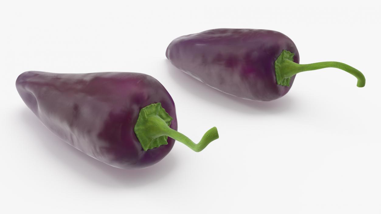 Purple Chili Pepper 3D model