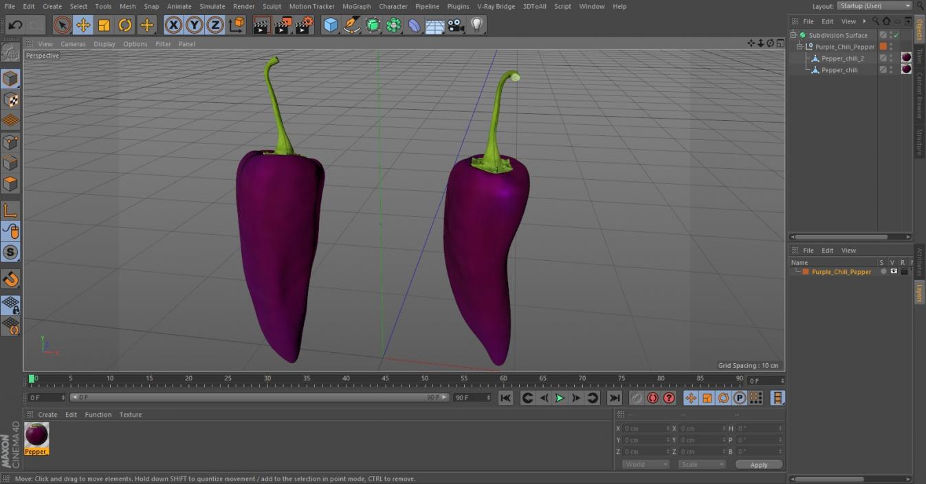 Purple Chili Pepper 3D model