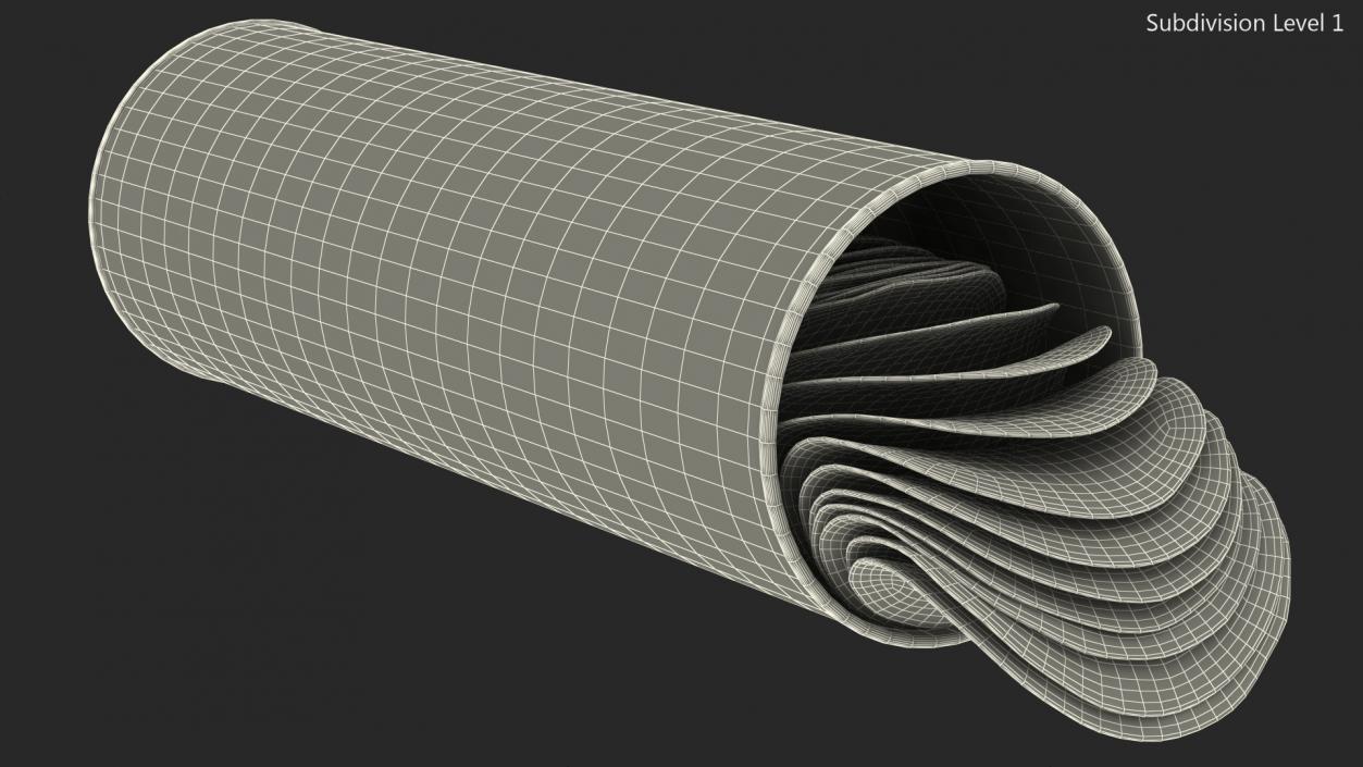 3D model Open Foil Tube of Potato Chips