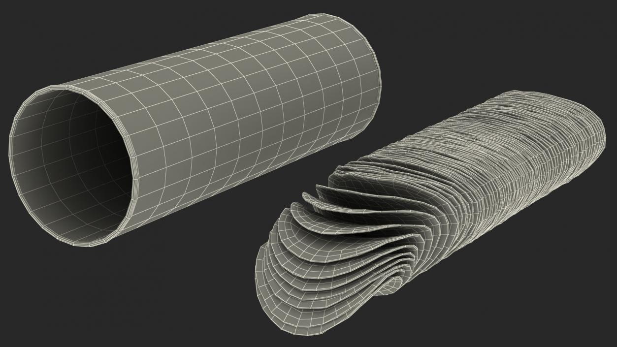 3D model Open Foil Tube of Potato Chips