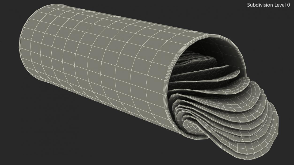 3D model Open Foil Tube of Potato Chips