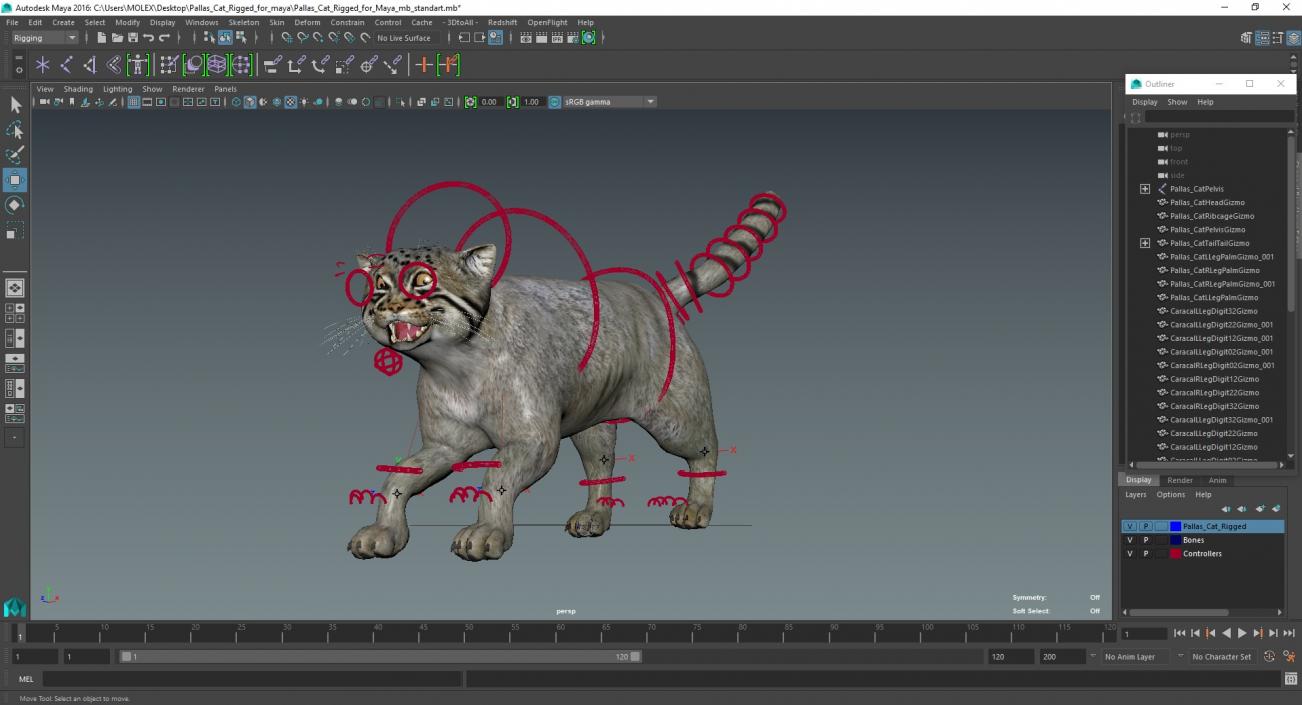 3D Pallas Cat Rigged for Maya