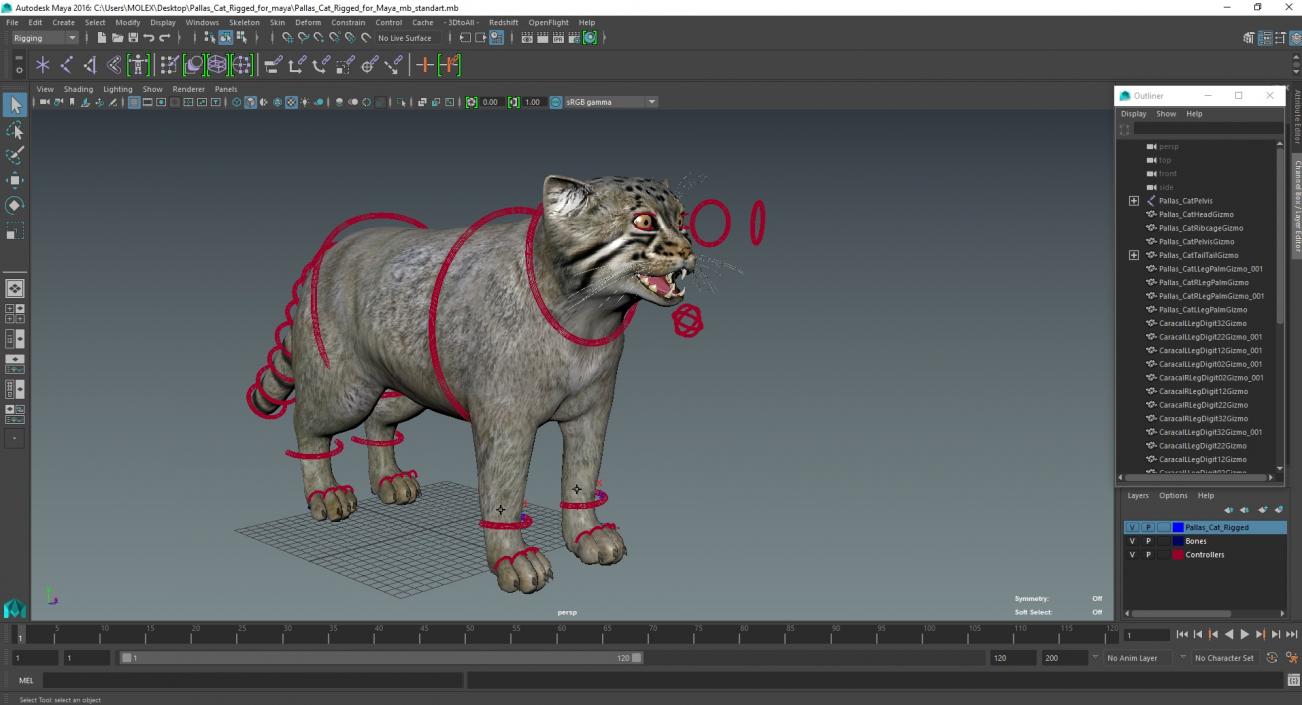 3D Pallas Cat Rigged for Maya