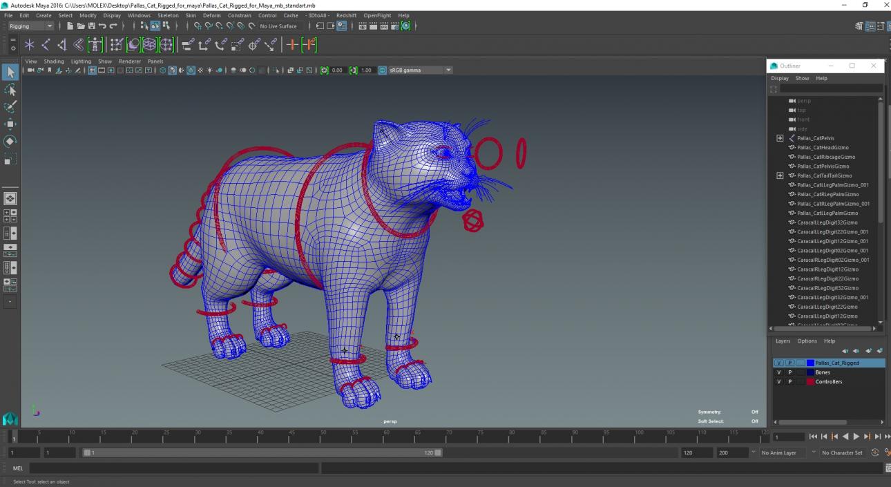 3D Pallas Cat Rigged for Maya