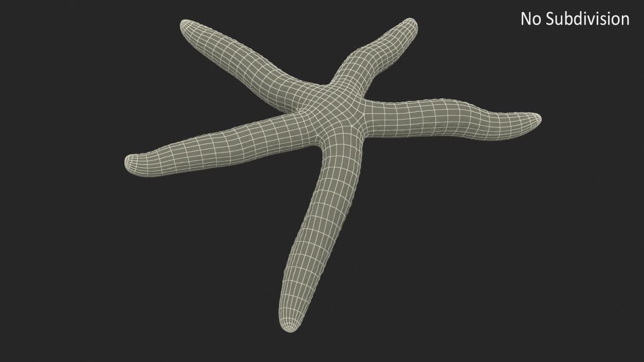 Lying Blue Starfish 3D model