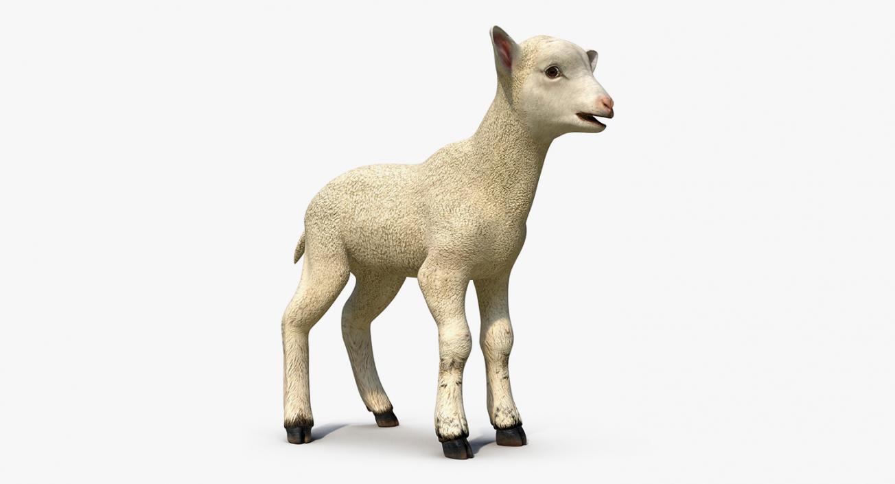 Farm Animals Big Collection 3 3D model