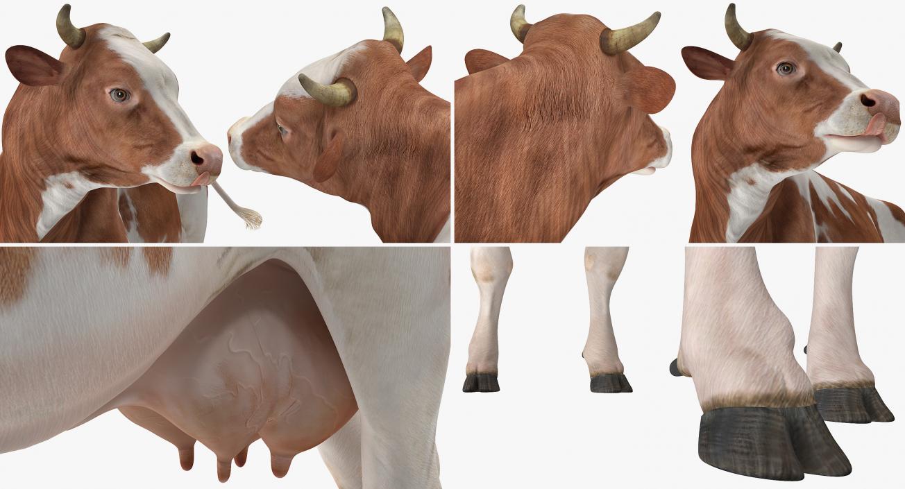 Farm Animals Big Collection 3 3D model