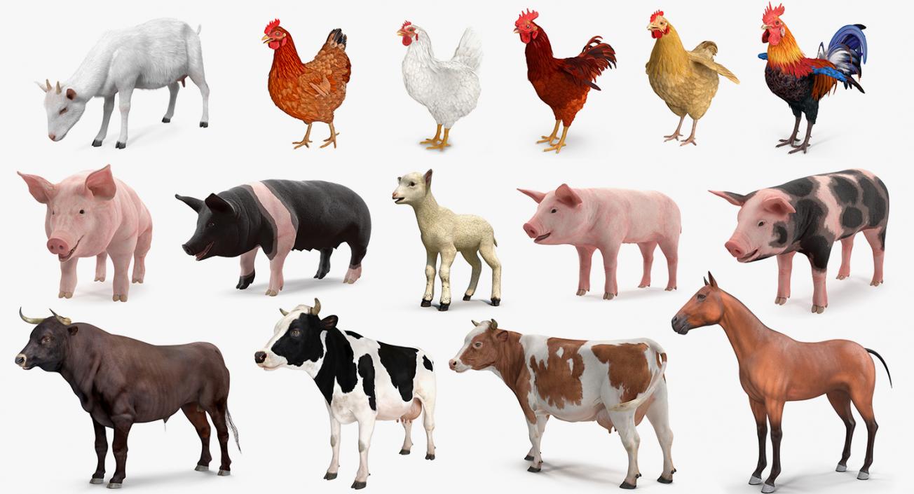 Farm Animals Big Collection 3 3D model