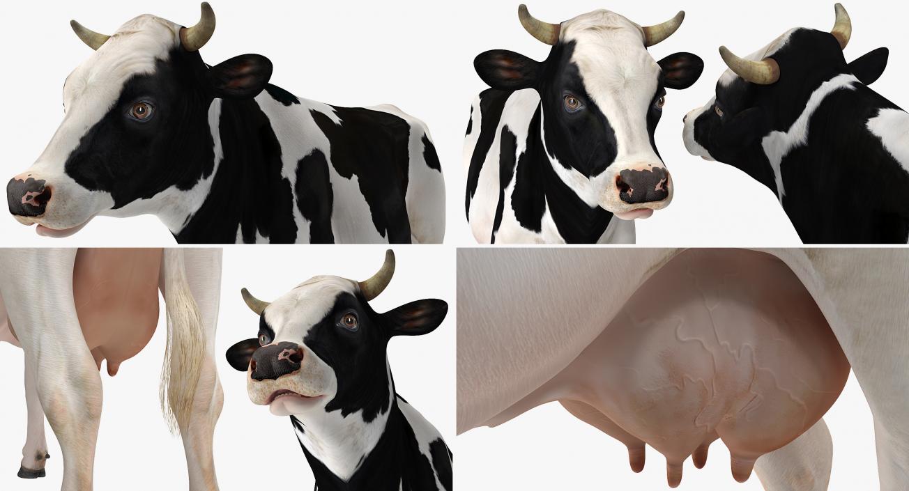 Farm Animals Big Collection 3 3D model