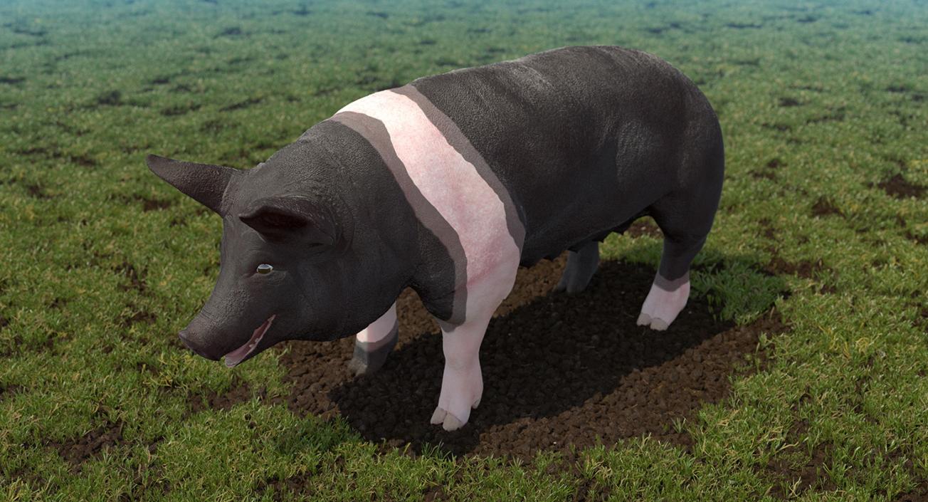 Farm Animals Big Collection 3 3D model