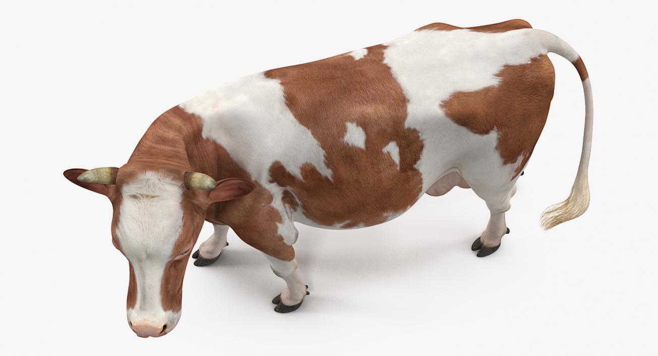 Farm Animals Big Collection 3 3D model