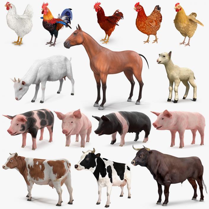 Farm Animals Big Collection 3 3D model