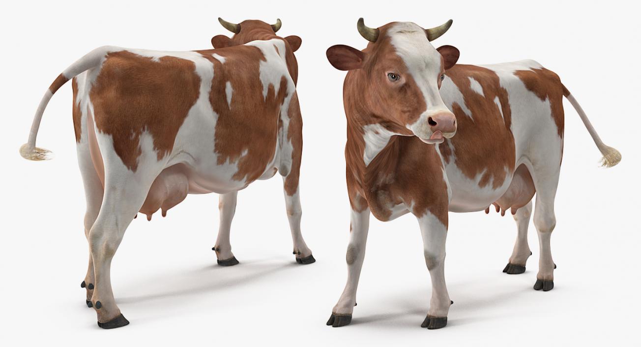 Farm Animals Big Collection 3 3D model