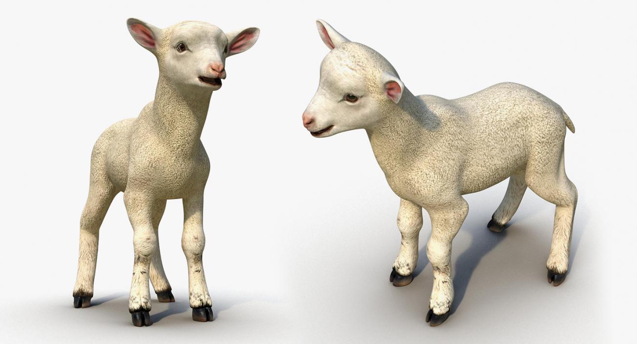 Farm Animals Big Collection 3 3D model