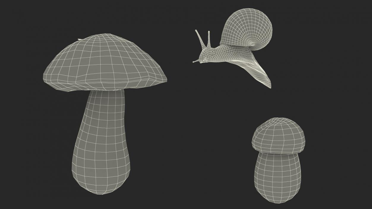 3D Snail Crawls on a Mushroom