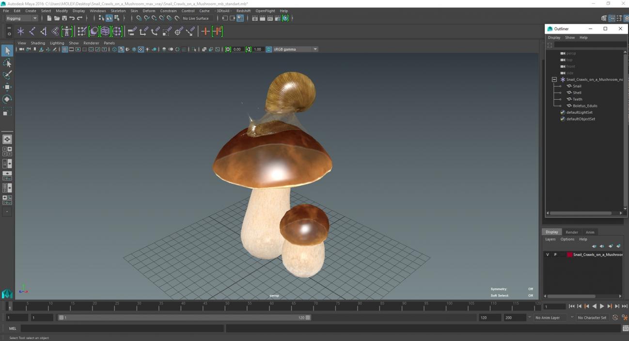 3D Snail Crawls on a Mushroom