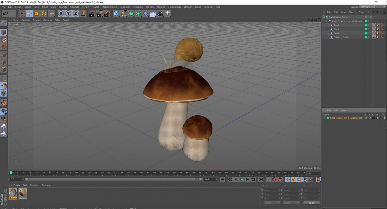 3D Snail Crawls on a Mushroom