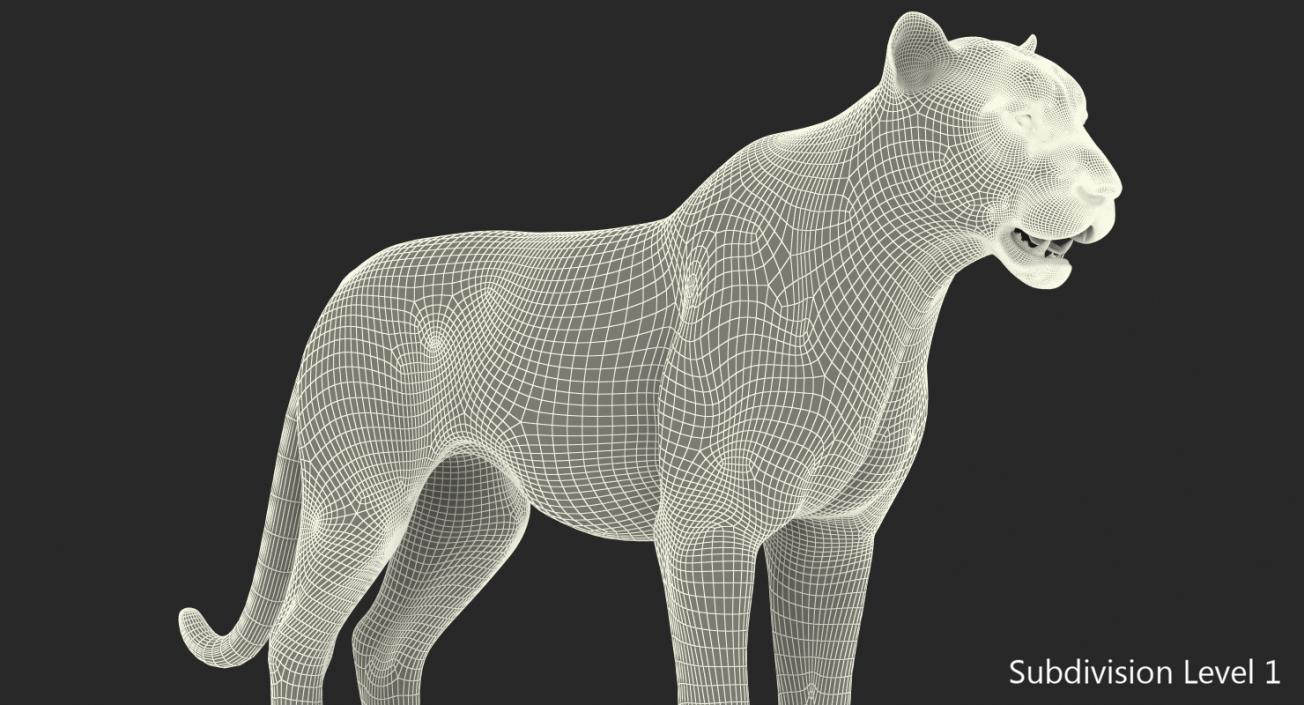 3D White Tiger