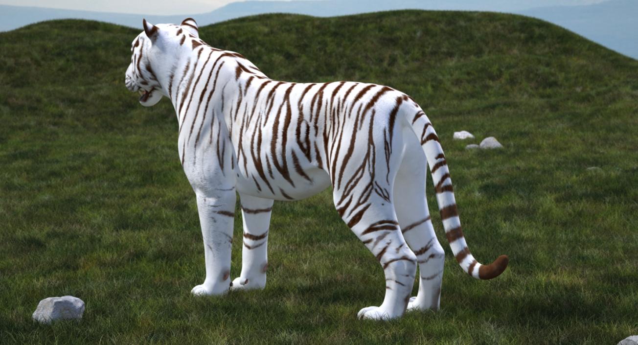 3D White Tiger