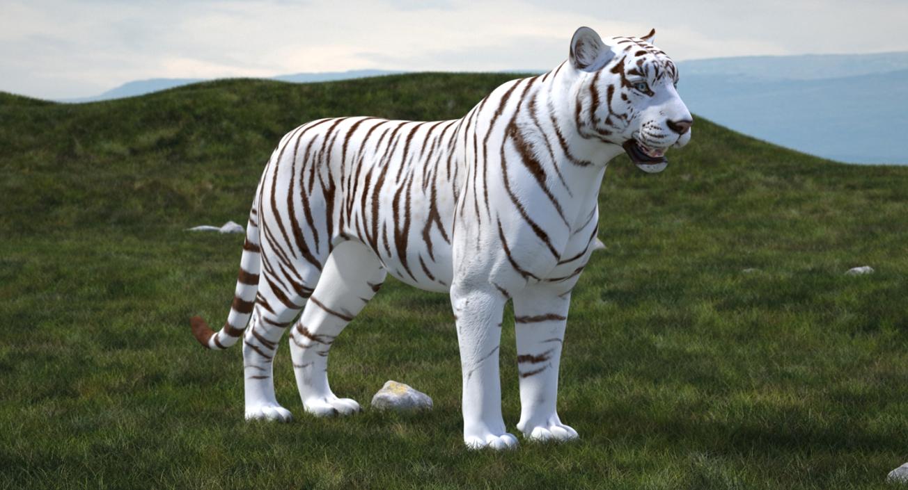 3D White Tiger