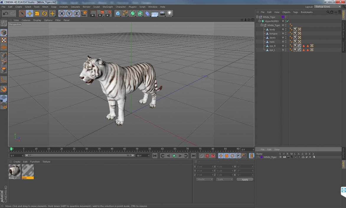 3D White Tiger