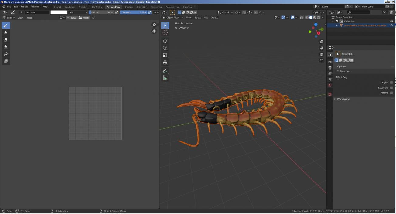 Scolopendra Heros Arizonensis 3D model