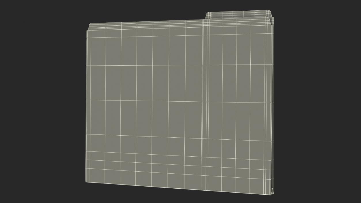 Paper File Folder 3D