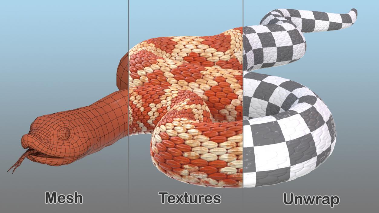 Coiled Red Hognose Snake 3D model