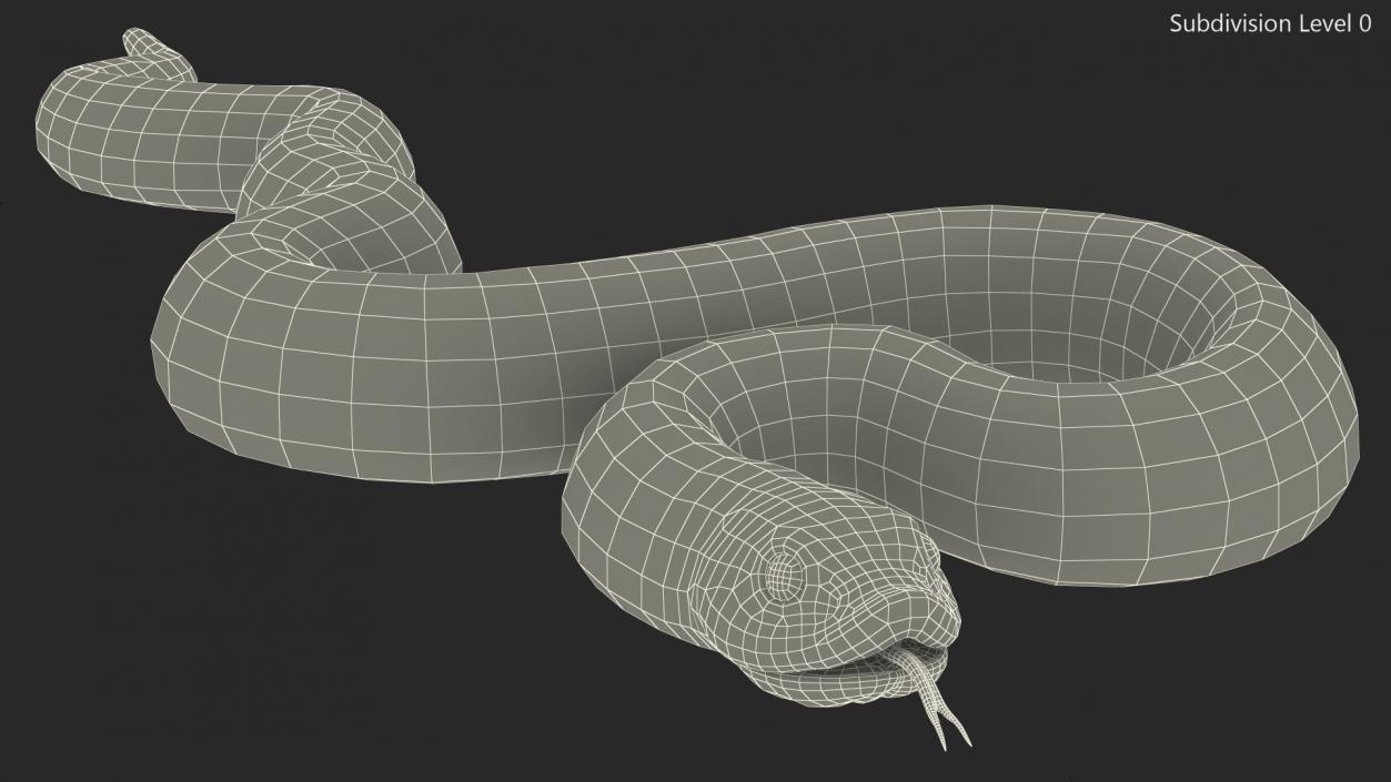 Coiled Red Hognose Snake 3D model