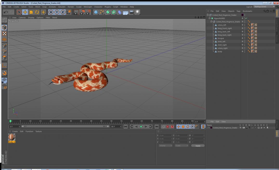 Coiled Red Hognose Snake 3D model
