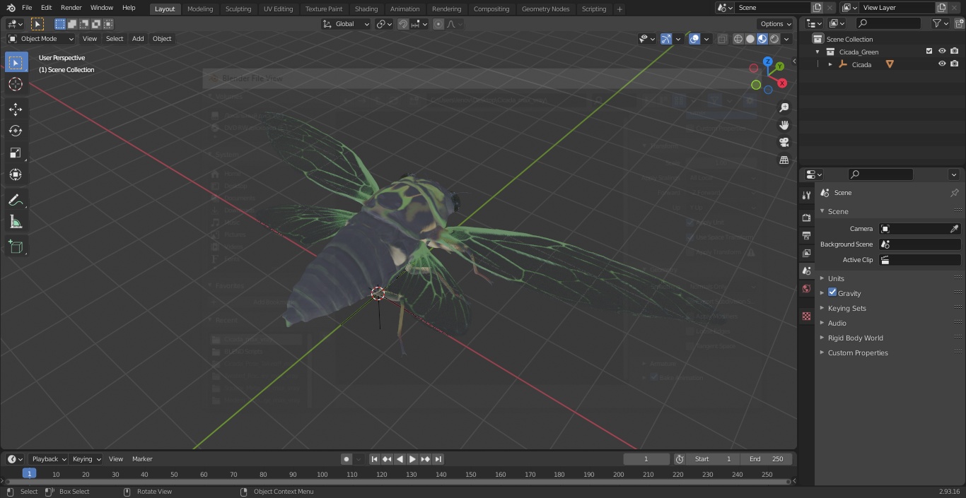 3D model Cicada