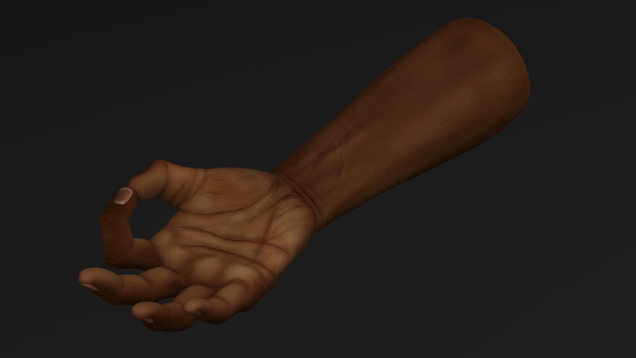 3D model Dark Skinned Male Hand OK Pose