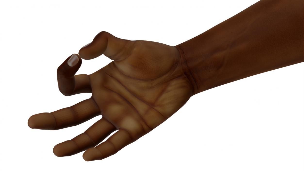 3D model Dark Skinned Male Hand OK Pose