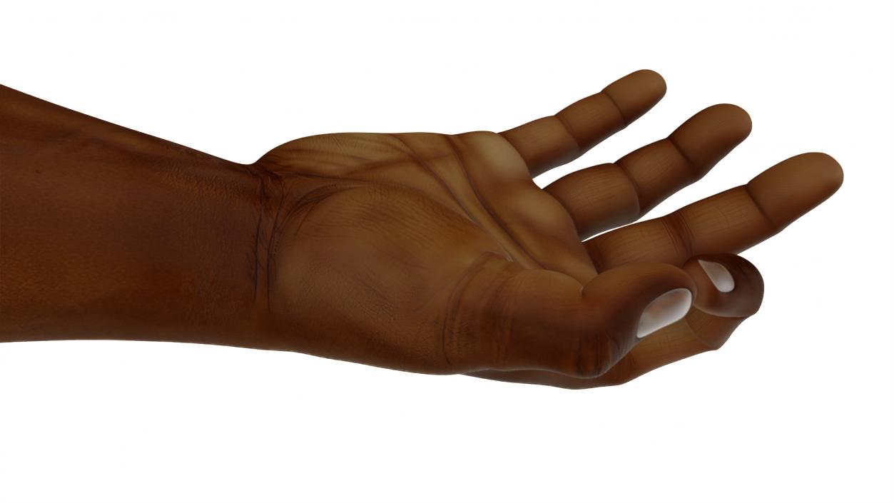 3D model Dark Skinned Male Hand OK Pose