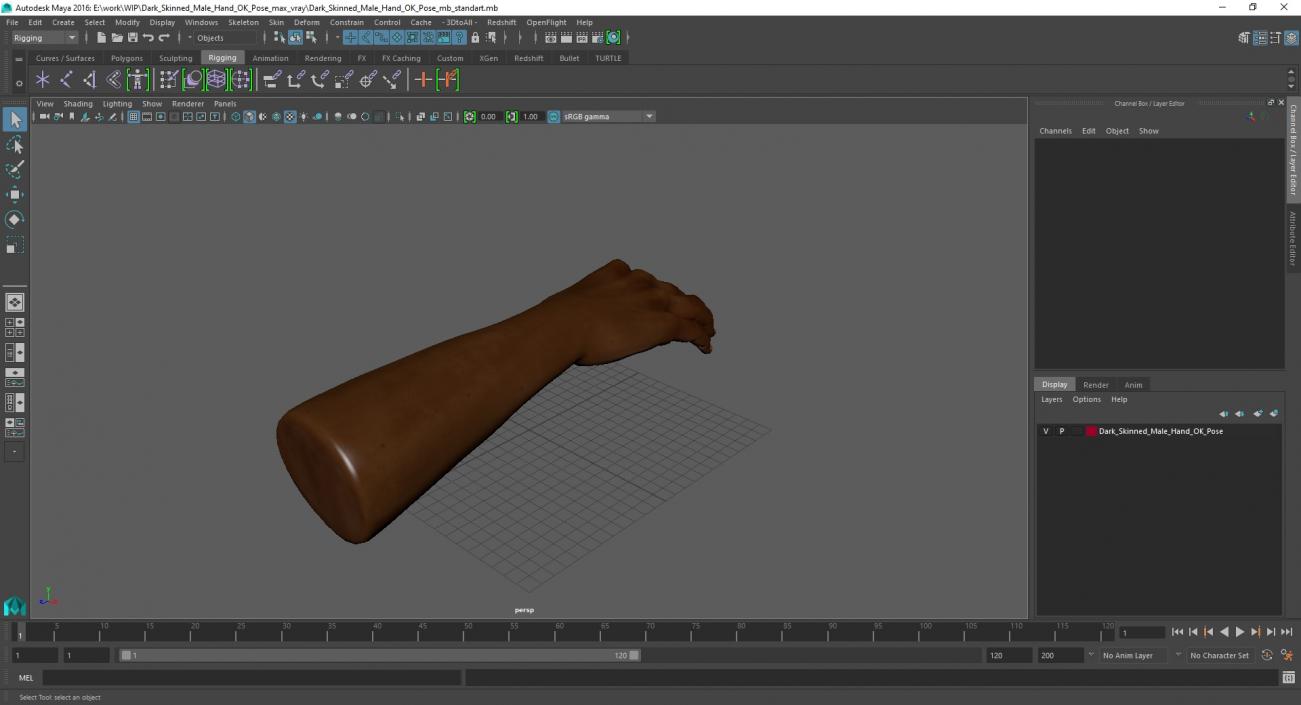 3D model Dark Skinned Male Hand OK Pose