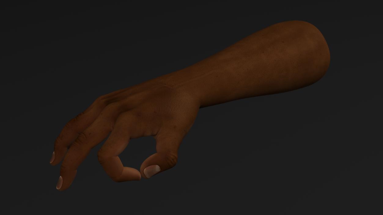 3D model Dark Skinned Male Hand OK Pose