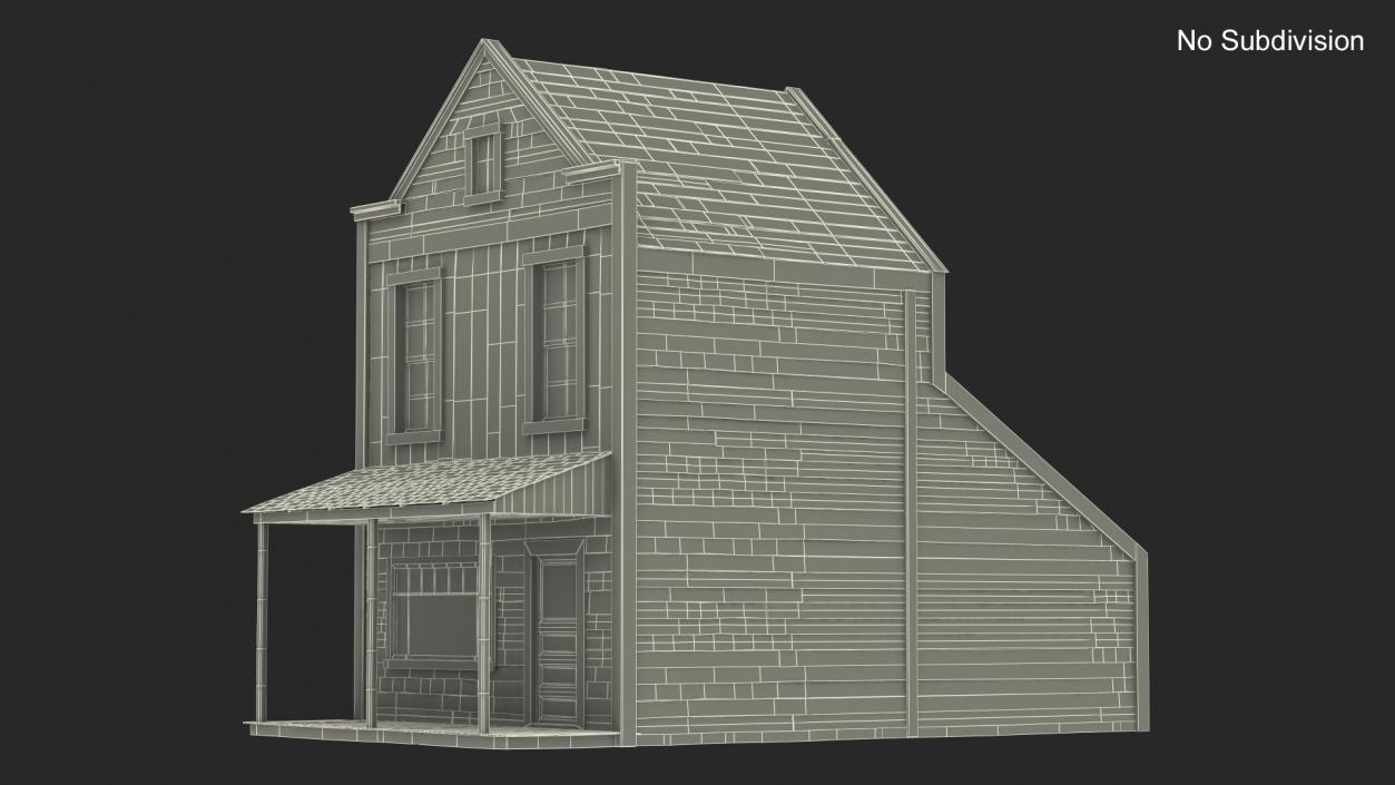 3D Western House With Terrace