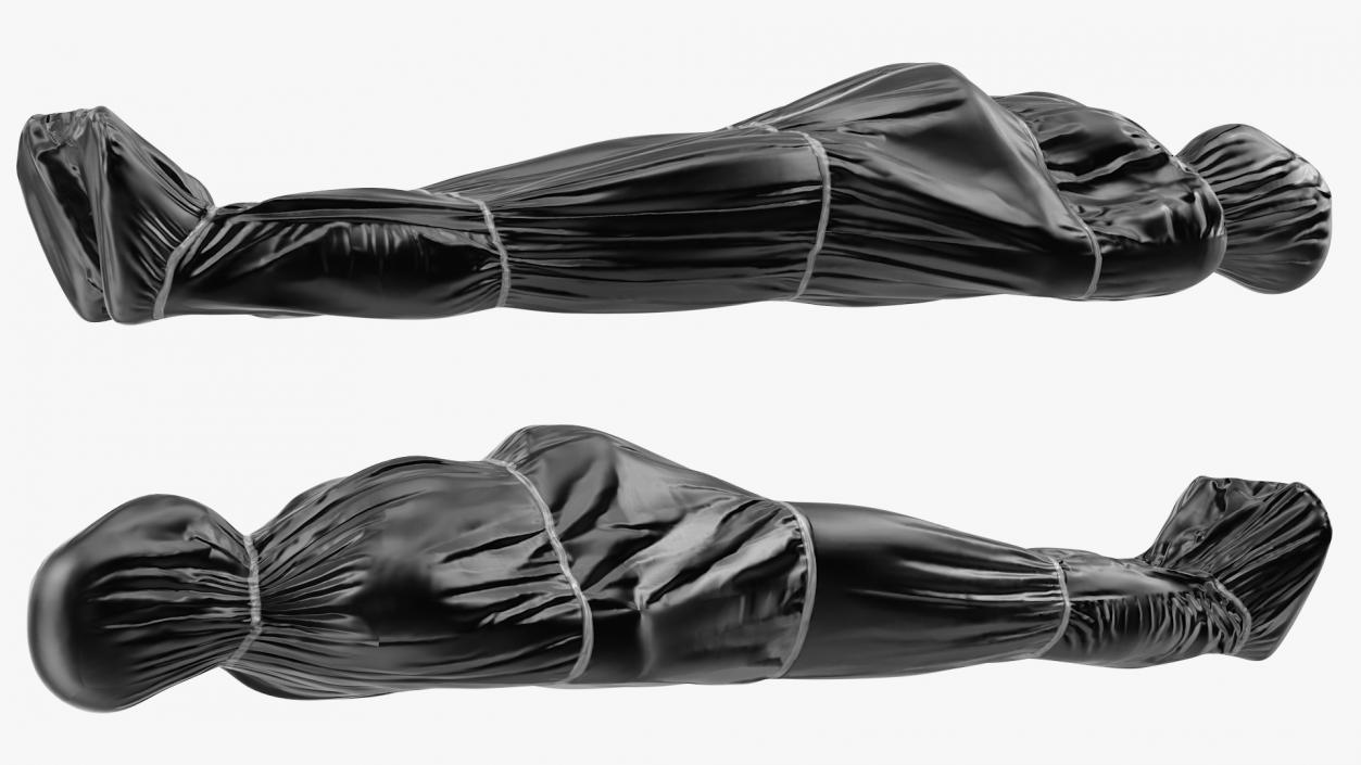 3D model Covered Dead Bodies Collection