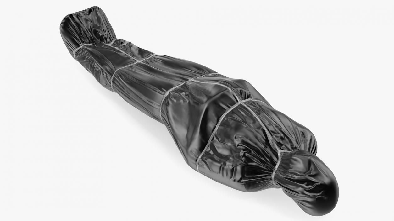 3D model Covered Dead Bodies Collection