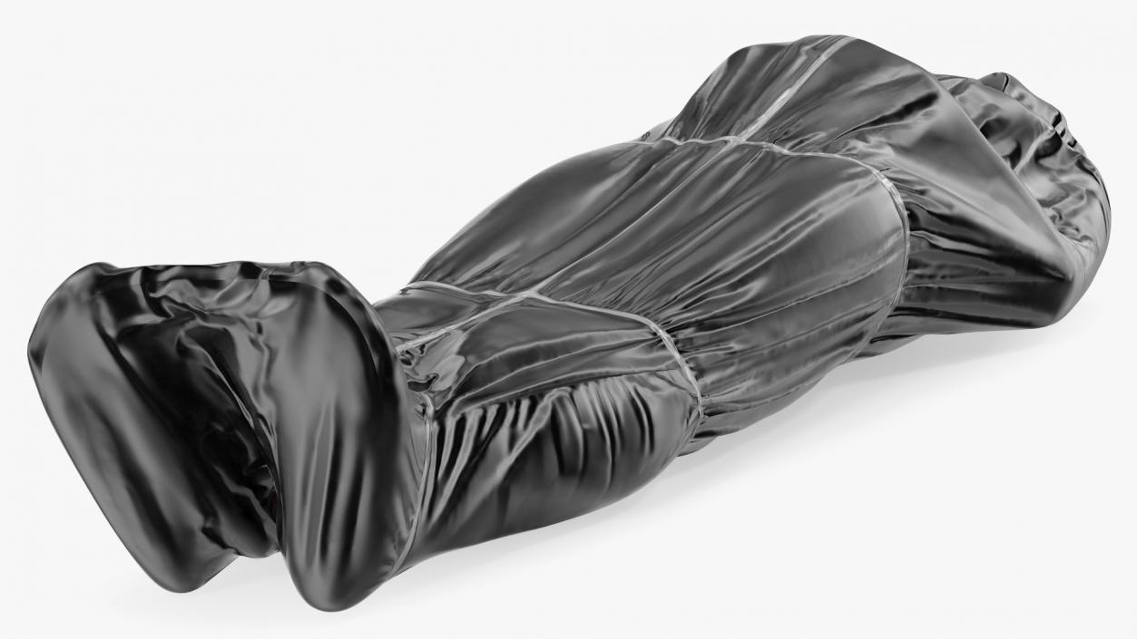 3D model Covered Dead Bodies Collection