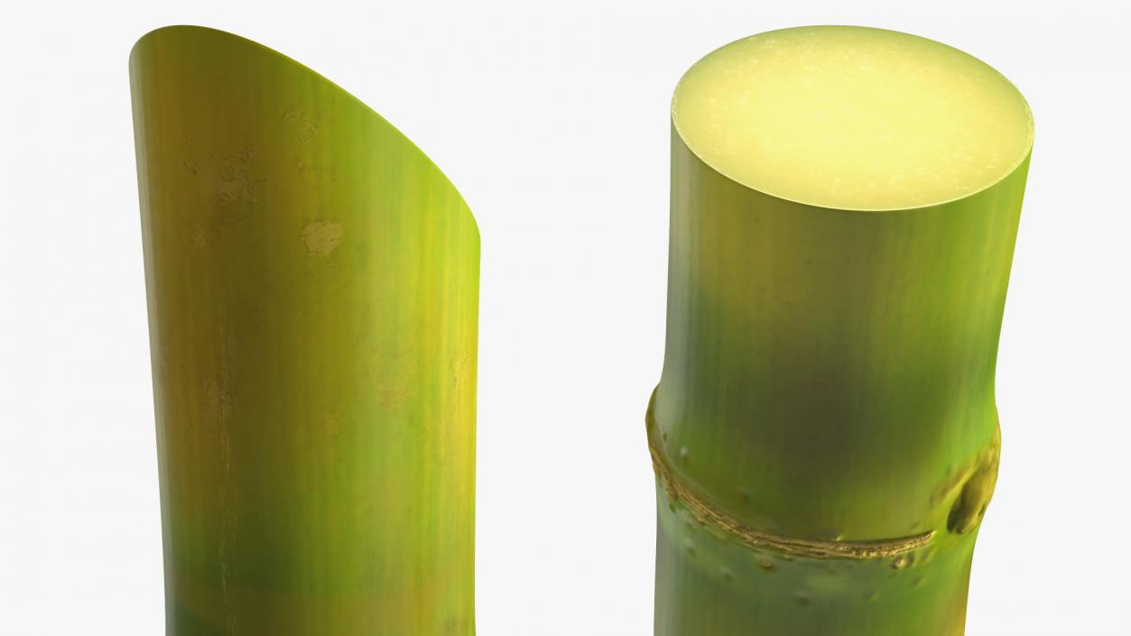 3D Sugar Cane Stick