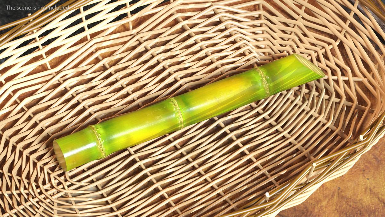 3D Sugar Cane Stick